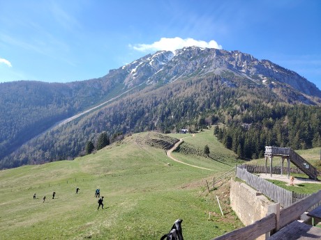 IMG_20240413_095233_1_11zon