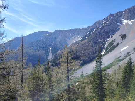 IMG_20240413_113654_6_11zon