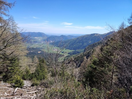 IMG_20240413_123458_3_11zon