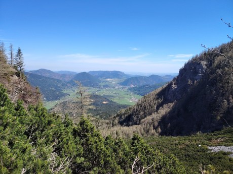 IMG_20240413_124202_3_11zon