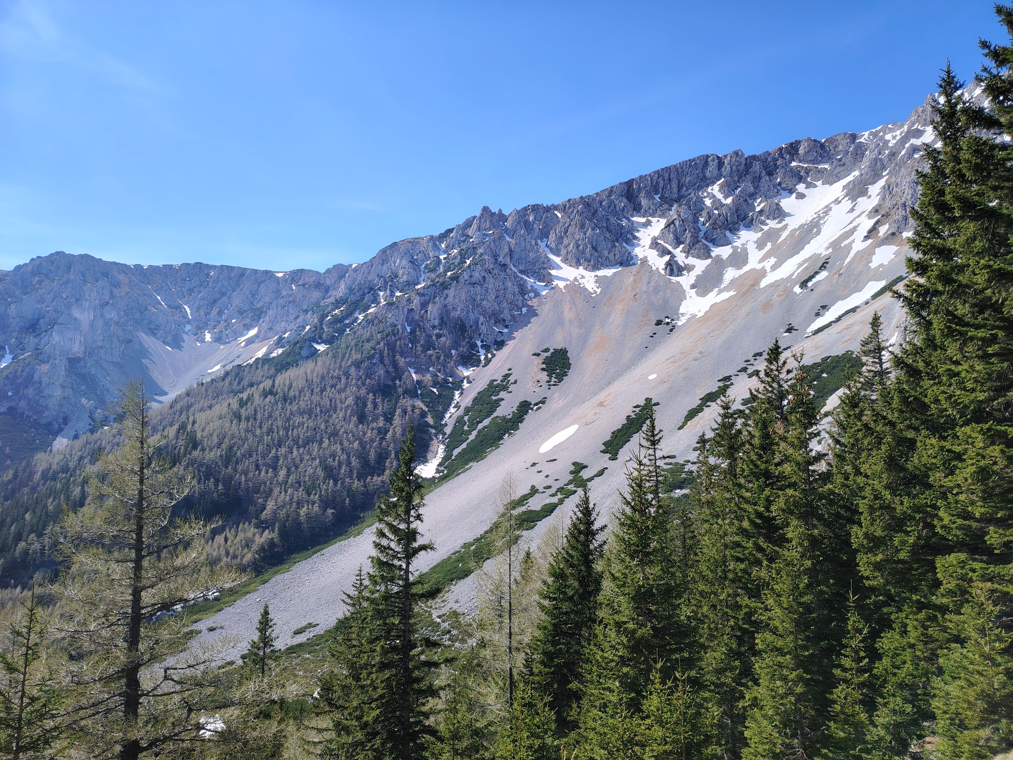 IMG_20240413_113656_7_11zon