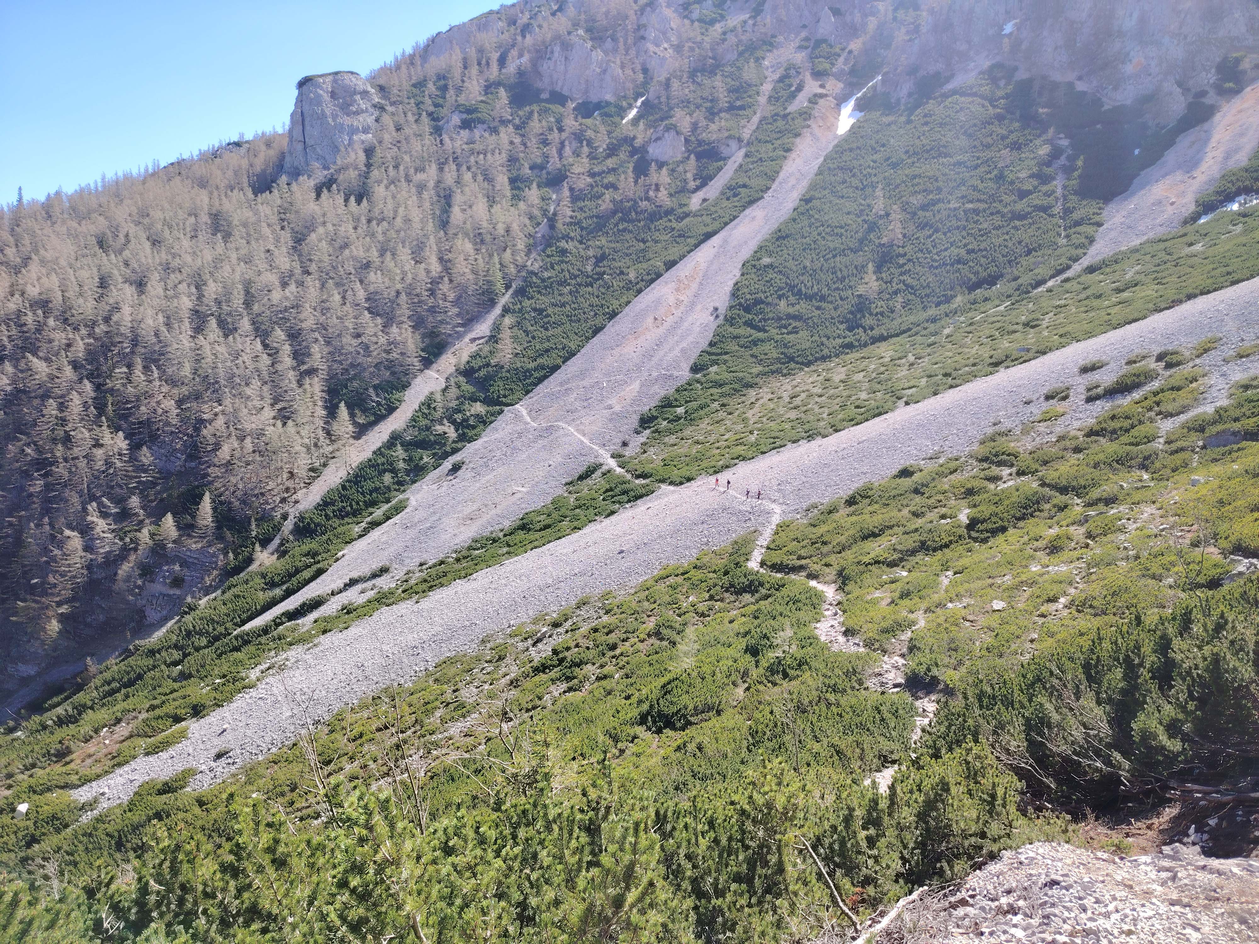 IMG_20240413_124059_6_11zon