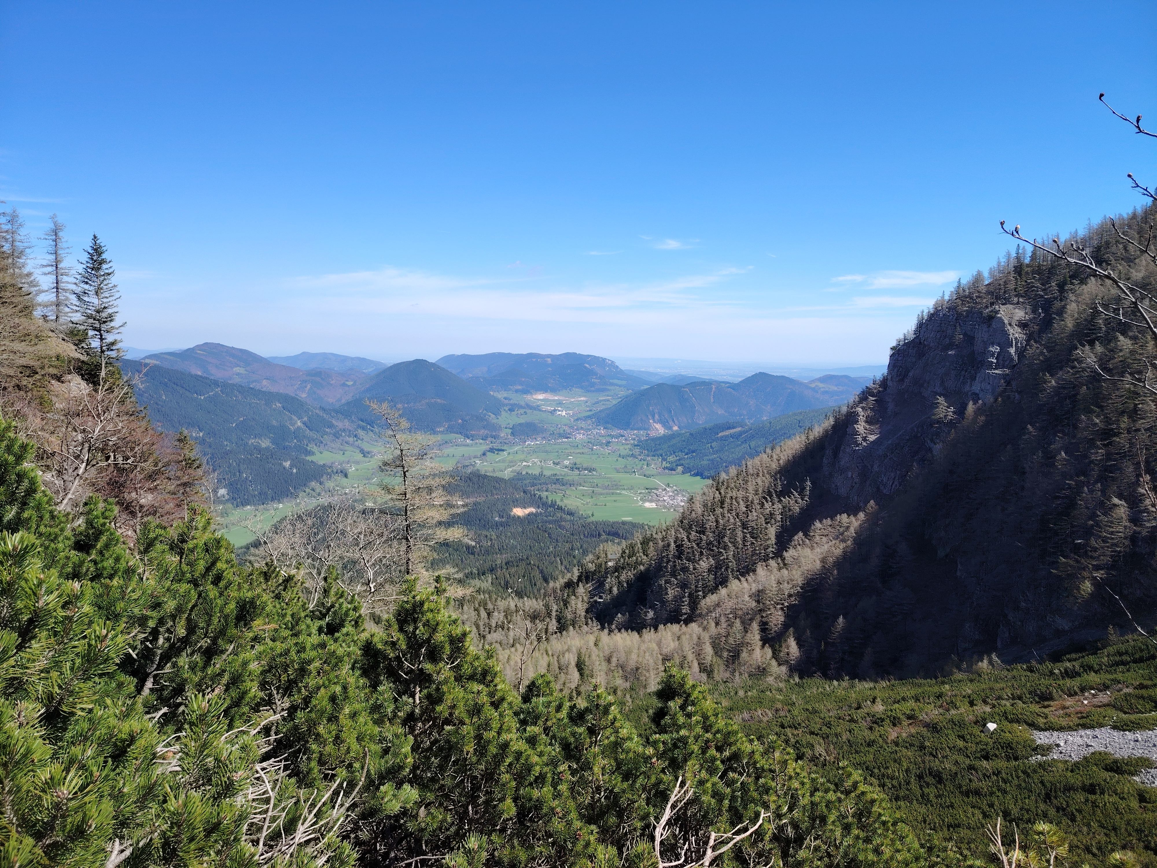 IMG_20240413_124202_3_11zon