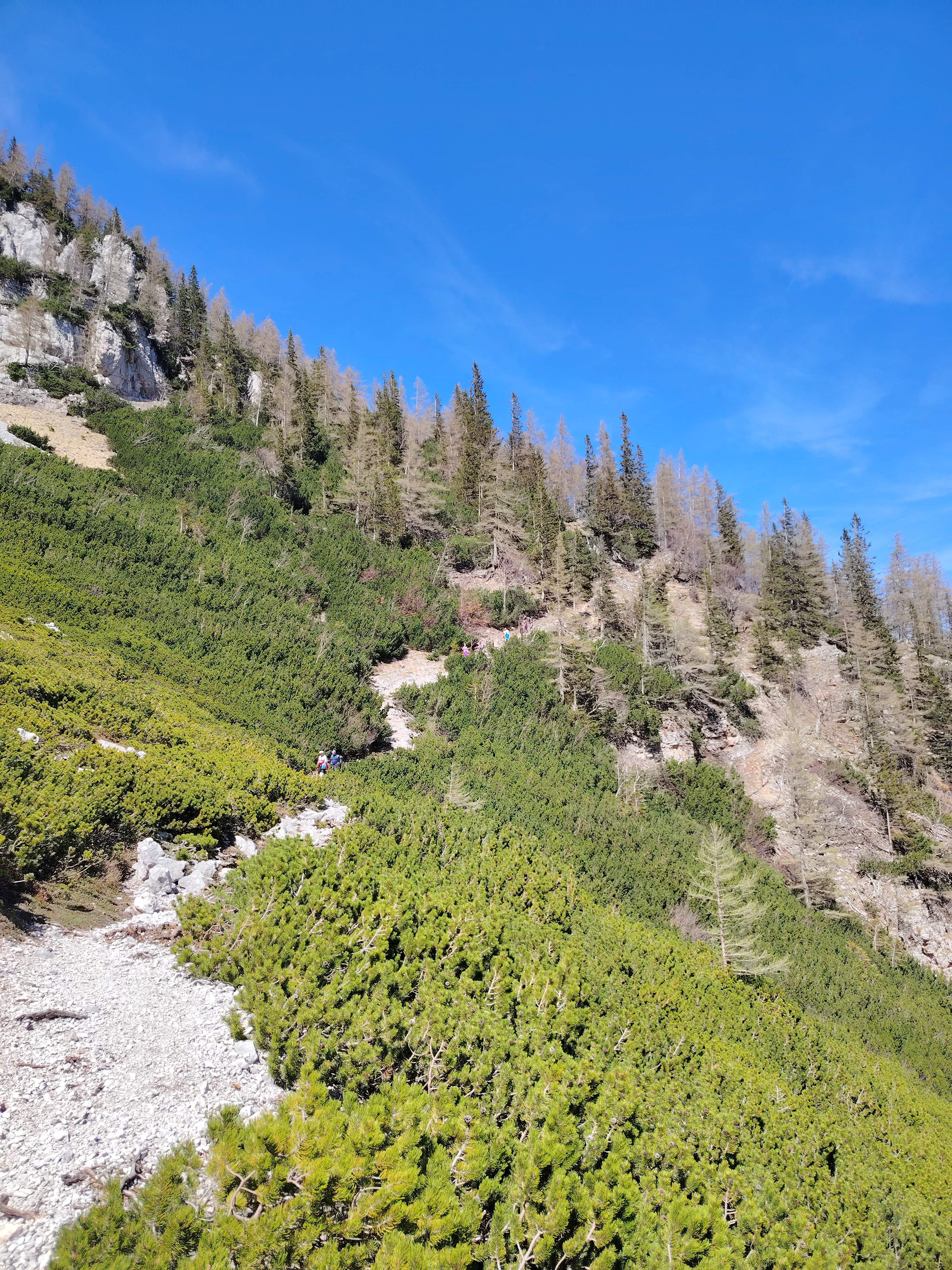 IMG_20240413_124432_7_11zon